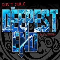 Blind Man in the Dark - Gov't Mule