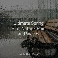 Drips n Drops - Tailormade Ocean Waves & Ambient Rain & Relaxation