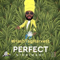 Goverment Dog - Perfect Giddimani