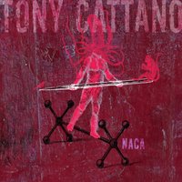 Fior Di Conio - Tony Cattano