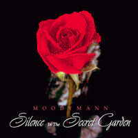 Shine - Moodymann