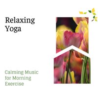 Nirmal Pehar - Spa Zen Melodies