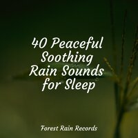 Birds at Sunset - meditacou musica ambiente & Restless Baby Music & White Noise for Baby Sleep