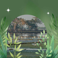Vivacious Moods for Calm Times - Musica per Studiare