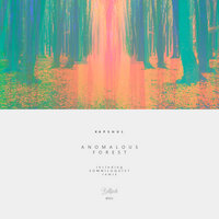 Anomalous Forest - Kapshul