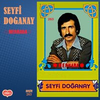 EĞER GİDERSEN BİZİM ELLERE - Seyfi Doğanay