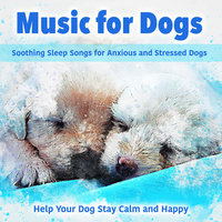 Soothing Atmosphere - Dog Music Dreams & RelaxMyDog & Relax My Puppy