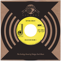 You Don't Know What You Mean (To a Lover Like Me) - Lee Fields & The Sugarman 3