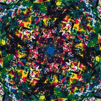 Late Bloomer - Chris Weeks