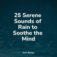 Rainy City - Yoga Trainer & Lightning & Rainfall For Sleep