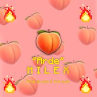Arde - Milex