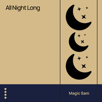 Call Me If You Need Me - Magic Sam