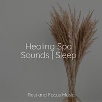 Heart Cradle - Saludo al Sol Sonido Relajante & Spa Zen & Baby Relax Music Collection