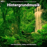 Hintergrundmusik pt. 28 - Entspannungsmusik Sebastian Noiro & Schlafmusik & Entspannungsmusik