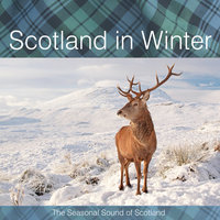 Loch Lomond - The Munros