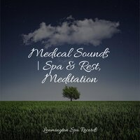 Summer Calm - Big Sounds & Soothing White Noise For Infant Sleeping And Massage & Natureza Musica Bem-Estar Academia