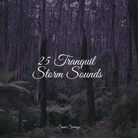 Umbrella Rain - Nature Soundscape & Sleep Recording Sounds & Calm shores