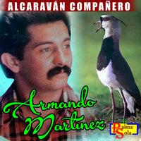 Lucerito - Armando Martínez