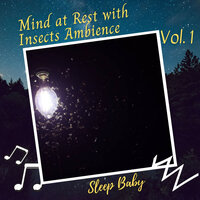 Goodnight Lullaby - White Noise Sleep Sounds & Pink Noise Therapy & Lullaby Einstein