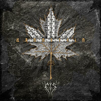 In the Noctuarium - Eïs & Fiar & Morax