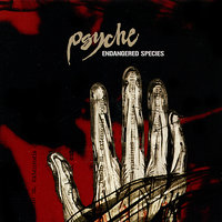 Looking Glass - Psyche