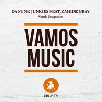 Words Unspoken - Da Funk Junkies & Zahide Gray