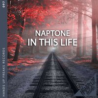 In This Life - Naptone