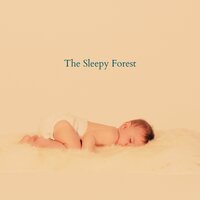 Classical Lullabies - Soothing Lullaby