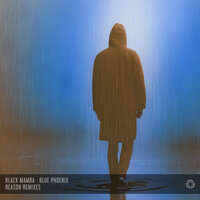 Reason - Black Mamba & Blue Phoenix & HE:ZAR