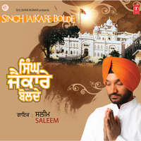 Amrit Vela Ho Gaya - Saleem