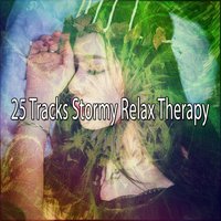 Trickling Rains - Rain Sounds & White Noise
