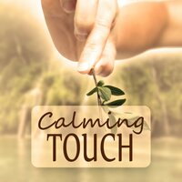 Tai Chi Music (Wellness Music) - Beauty Spa Music Collection