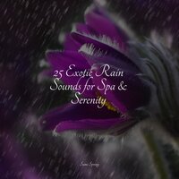 Waves by the Beach - Water Spa & Rain Sounds Collection & ZEN