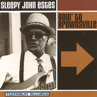 Bring Me My .38 Pistol - Sleepy John Estes