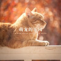 宠物欢歌 - 狗狗音乐