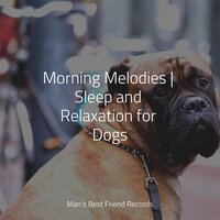 Calm Spa Music - Pet Care Music Therapy & Dog Music Club & Calming Music for Dogs