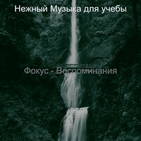 Музыка (Изучение) - Нежный Музыка для учебы