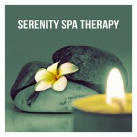 Therapy for Relaxation - SPA & Wellness Massage Masters