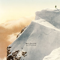 Golden Nights - Wildlife