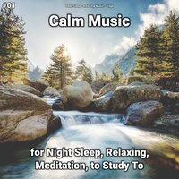 Meditation Music - Deep Sleep & Relaxing music & Yoga