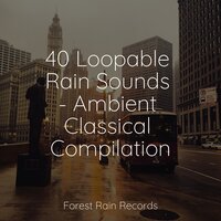 Lakeside, Waves, Lapping, Birds - White Noise Sleep Sounds & Pure Serenity Spa Music & Massage Collective Garden & Zen Relaxation Meditation & Musica relajante