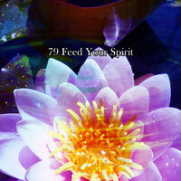 Love Yourself - White Noise Meditation & White Noise Therapy & White Noise Relaxation