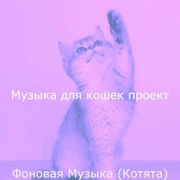 Моменты (Кошки) - Музыка для кошек проект