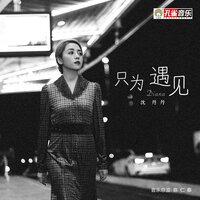 只为遇见 - 沈丹丹