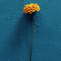 Rain Splash Noise - The Rain Library & Epic Soundscapes & The Nature Soundscapes