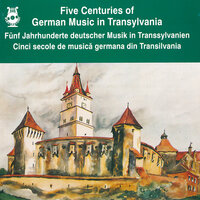 Sinfonia Concertante for Double Bass and Viola: II. - Horia Andreescu & Orchestra de cameră Virtuozii din București & The Bucharest Virtuosi