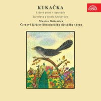 Na vánoce - Musica Bohemica & LIDOVA