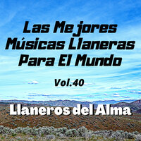 No Te Voy a Perdonar - Llaneros del Alma