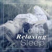 One Song Call it the Nightfly (dream Time) - Silent Night Music Academy