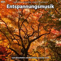 Entspannungsmusik pt. 51 - Entspannungsmusik mit sanften Klängen & Schlafmusik & Entspannungsmusik